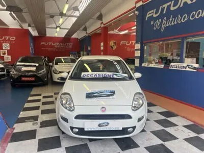 Fiat Punto 1.2 8V 5 porte Lounge usata