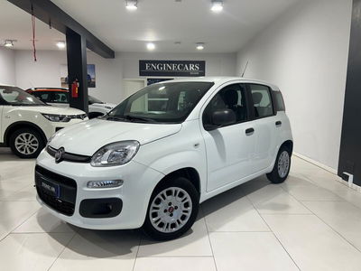 Fiat Panda 1.2 EasyPower Lounge usata