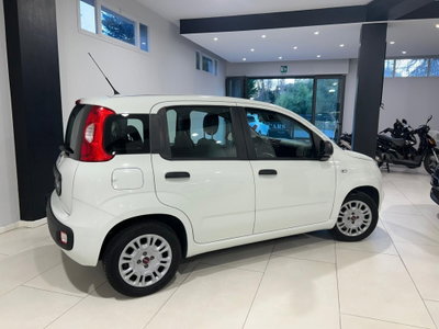Fiat Panda 1.2 EasyPower Lounge (3)