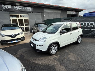 fiat panda 1.2