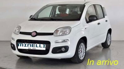 Fiat Panda 1.2 Easy
