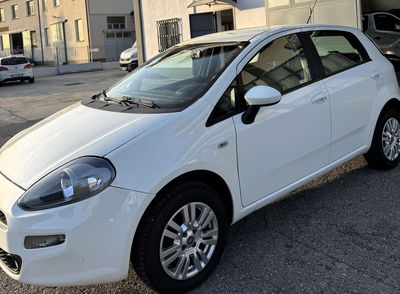 Fiat Punto 1.4 8V 5 porte Natural Power Lounge usata