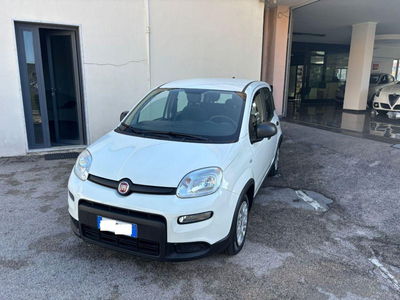 Fiat Panda 1.0 FireFly S&S Hybrid City Cross usata
