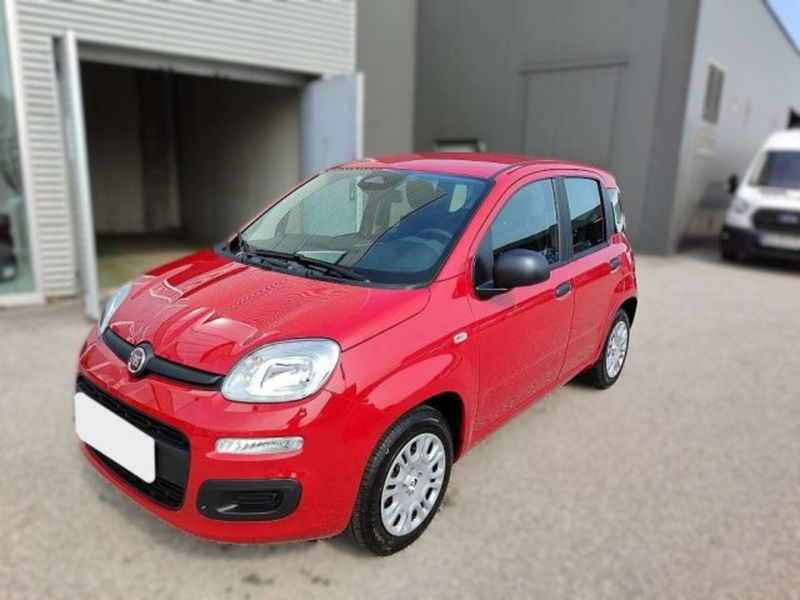 Fiat Panda 1.0 firefly hybrid s&s 70cv 5p.ti