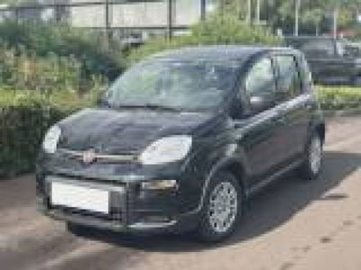 Fiat Panda 1.0 firefly hybrid s&s 70cv 5p.ti nuova