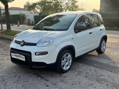 Fiat Panda 1.0 firefly hybrid s&s 70cv 5p.ti usata