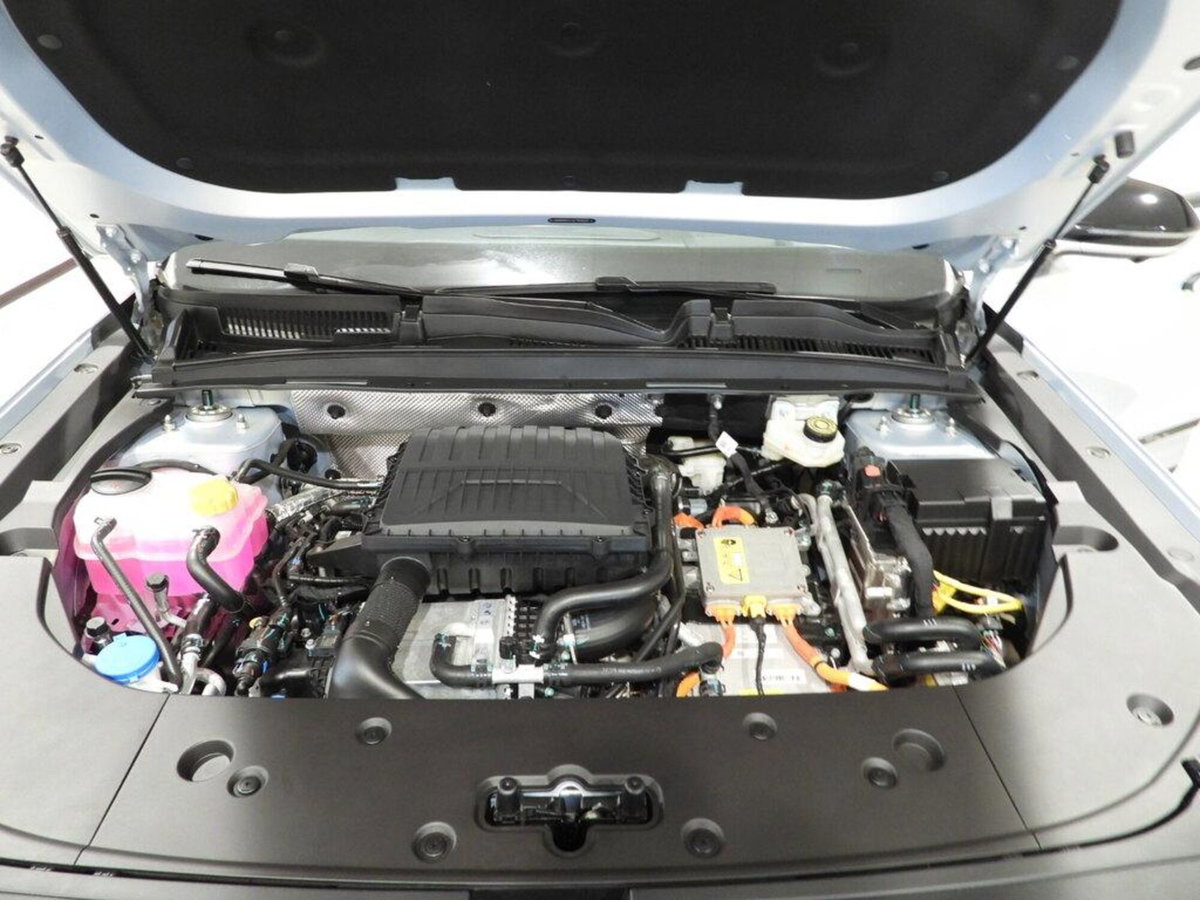 Jaecoo Jaecoo 7 1.6 tgdi Premium 2wd 7dct (15)