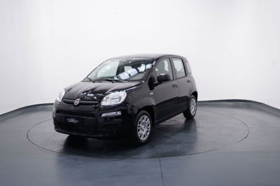 Fiat Panda 1.0 firefly hybrid s&s 70cv 5p.ti nuova