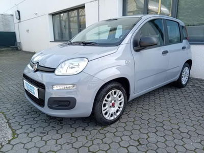 Fiat Panda 1.2 Easy usata