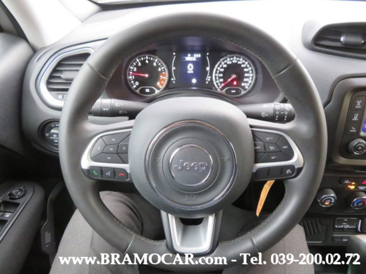 Jeep Renegade 1.3 T4 DDCT Longitude (15)