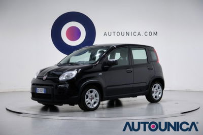 Fiat Panda 1.0 firefly hybrid s&s 70cv 5p.ti usata