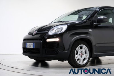 Fiat Panda 1.0 firefly hybrid s&s 70cv (11)