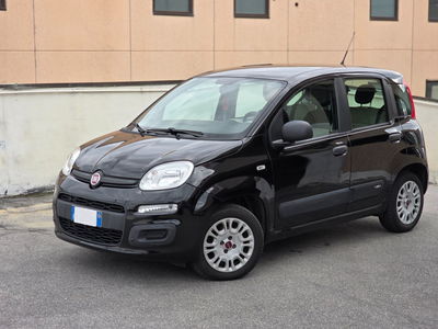 Fiat Panda 1.2 Lounge usata