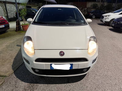 Fiat Punto 1.3 MJT II S&S 95 CV 5 porte Lounge usata