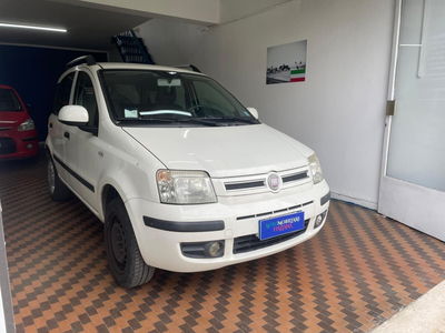Fiat Panda 1.4 Dynamic Natural Power usata