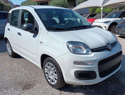 Fiat Panda Cross Cross 1.0 FireFly S&S Hybrid usata