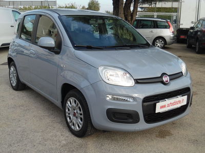 Fiat Panda 1.2 EasyPower Easy usata