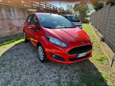 Ford Fiesta 1.4 5 porte Bz.- GPL Business N1 usata