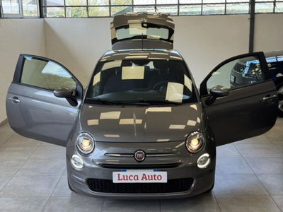 Fiat 500 1.0 Hybrid Red usata