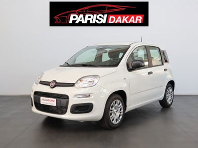 Fiat Panda 1.0 firefly hybrid s&s 70cv 5p.ti nuova