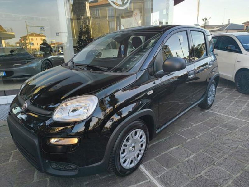 Fiat Panda 1.0 firefly hybrid Icon s&s 70cv