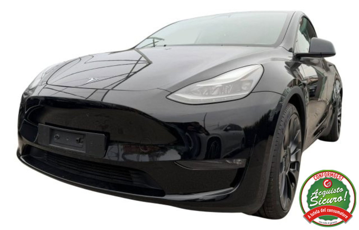 Tesla Model Y Performance awd (2)