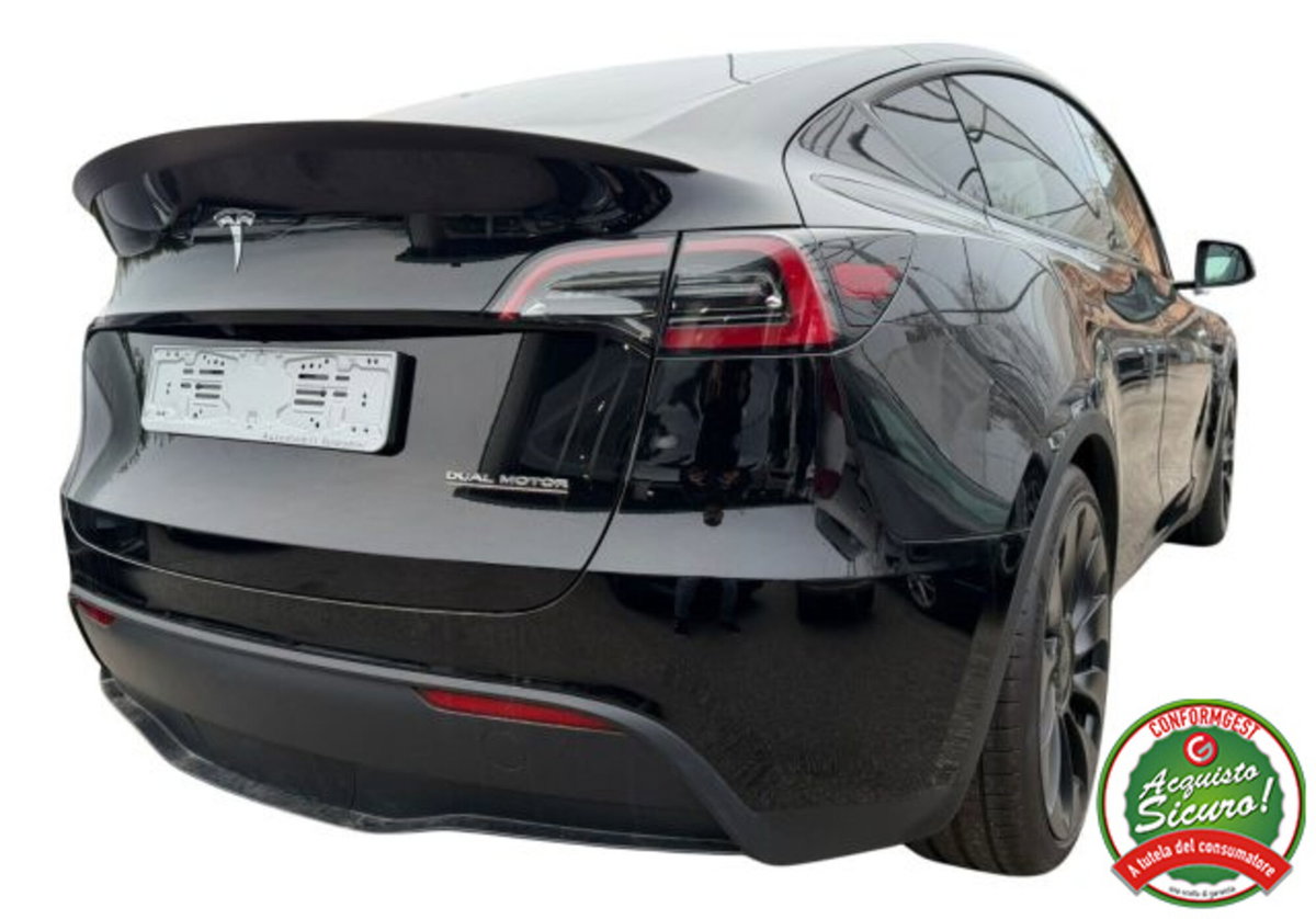 Tesla Model Y Performance awd (4)