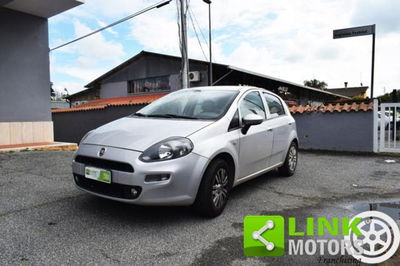 Fiat Punto 1.2 8V 5 porte Street usata