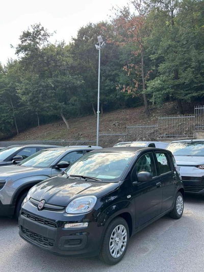 Fiat Panda 1.0 firefly hybrid s&s 70cv 5p.ti nuova