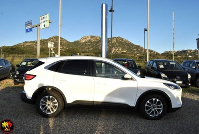 Ford Kuga 1.5 EcoBlue 120 CV 2WD Titanium (15)
