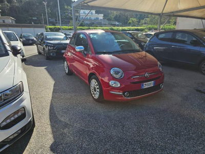 Fiat 500 1.0 Hybrid Red usata