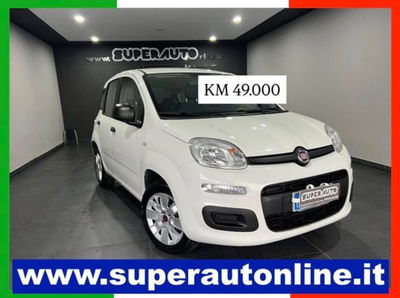 Fiat Panda 1.2 Easy usata