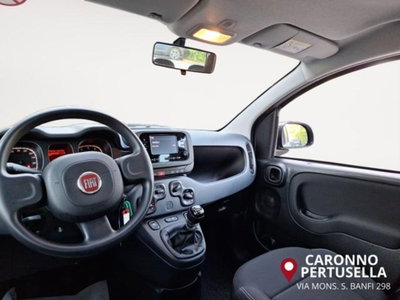 Fiat Panda 1.0 firefly hybrid s&s 70cv 5p.ti (10)