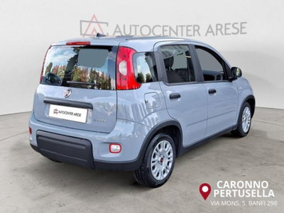 Fiat Panda 1.0 firefly hybrid s&s 70cv 5p.ti (5)