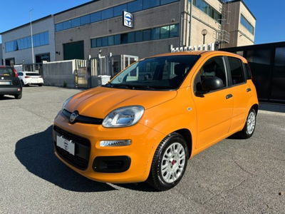 Fiat Panda 1.0 firefly hybrid s&s 70cv 5p.ti usata
