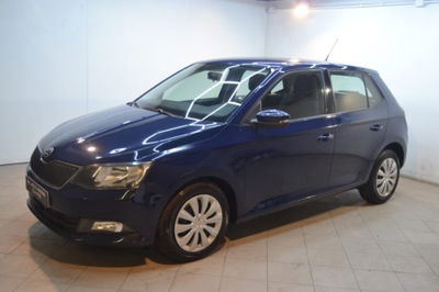 Skoda Fabia 1.4 TDI 90 CV Business usata