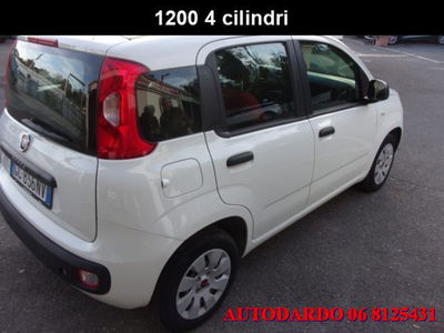Fiat Panda 1.2 Easy usata