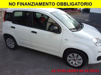 Fiat Panda 1.2 Easy usata