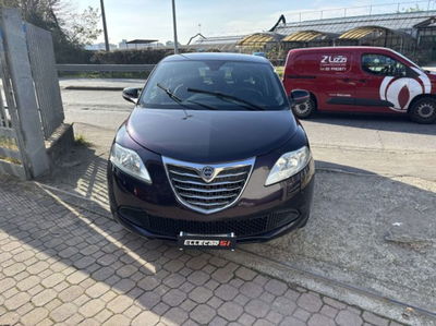 Lancia Ypsilon 1.2 69 CV 5 porte Elefantino usata