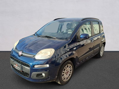 Fiat Panda 1.2 Easy usata