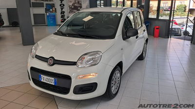 Fiat Panda 1.2 Easy usata