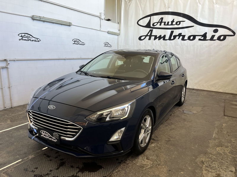 Ford Focus 1.5 EcoBlue 120 CV 5p. Business