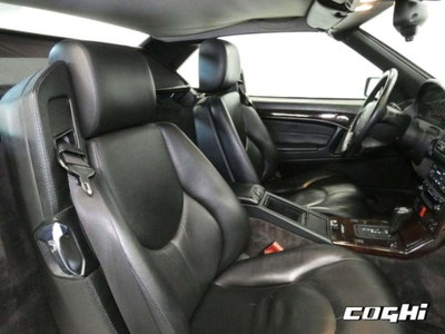 Mercedes-Benz SL 320 cat (14)
