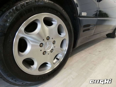 Mercedes-Benz SL 320 cat (7)