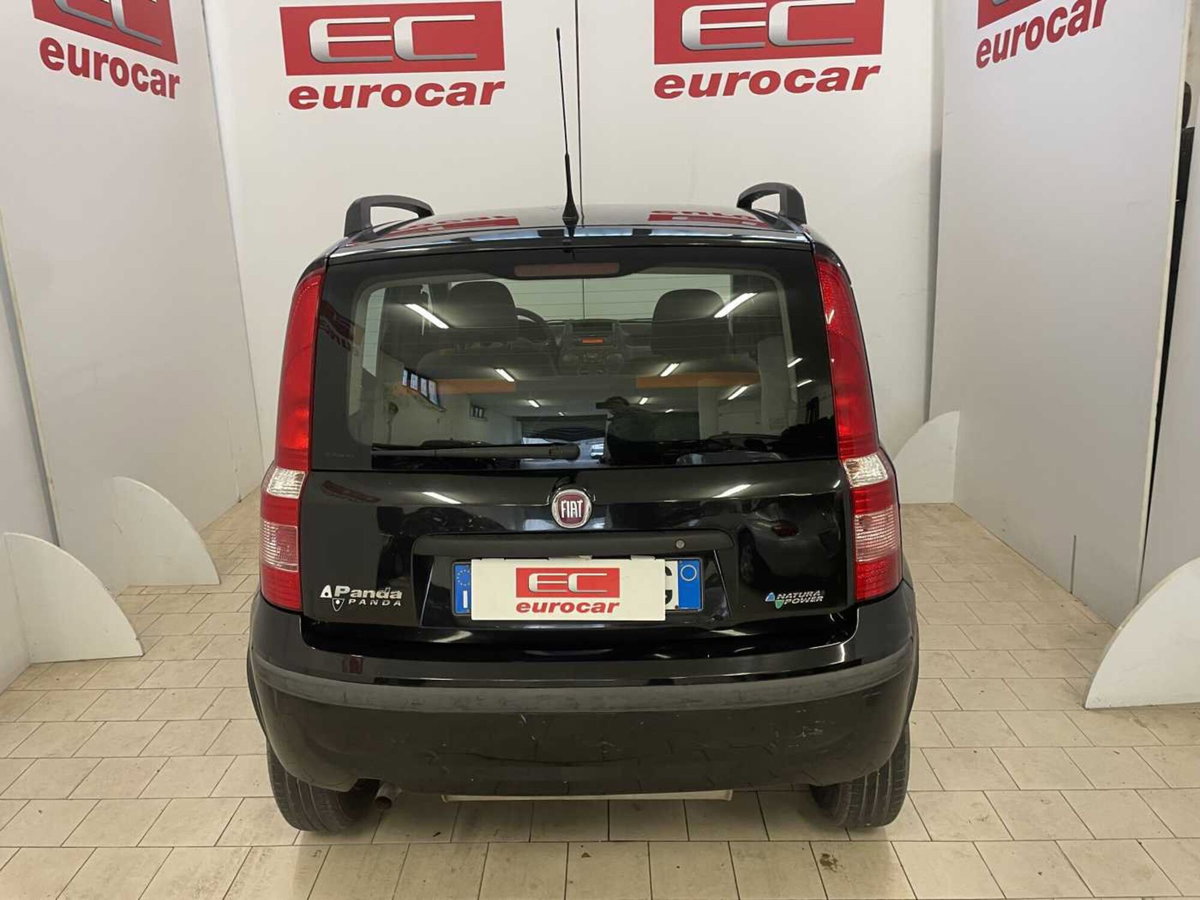 Fiat Panda 1.2 Climbing Natural Power (5)