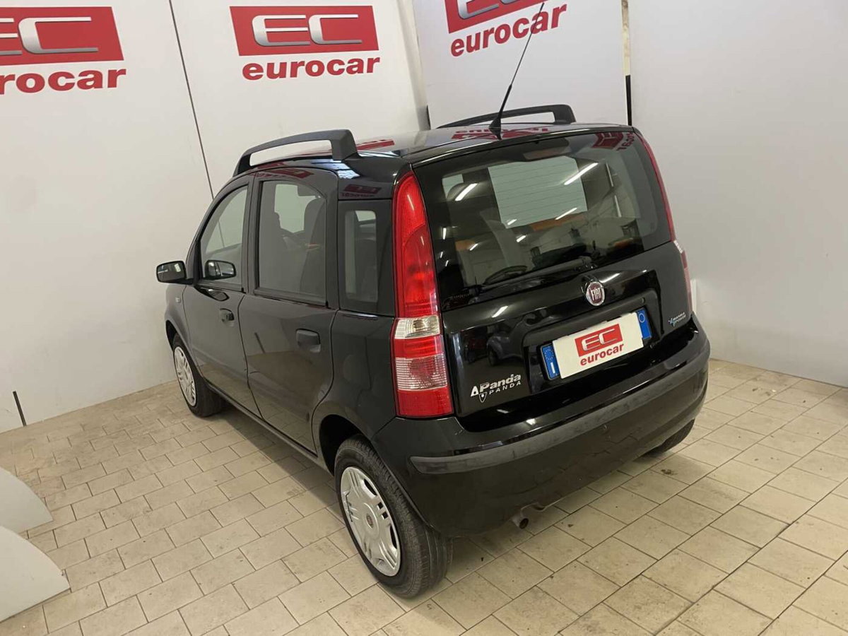 Fiat Panda 1.2 Climbing Natural Power (6)