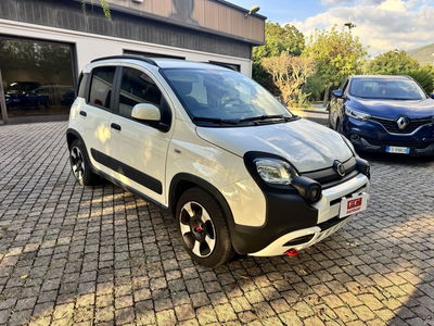 Fiat Panda 1.0 FireFly S&S Hybrid City Cross usata