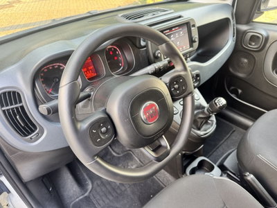 Fiat Panda 1.0 FireFly S&S Hybrid City Cross (7)