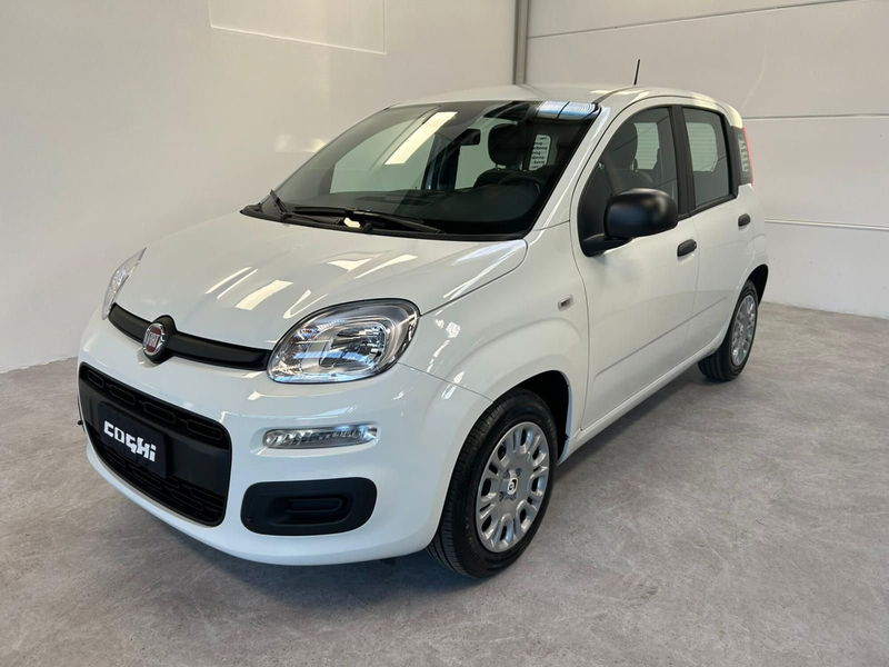 Fiat Panda 1.0 firefly hybrid Icon s&s 70cv