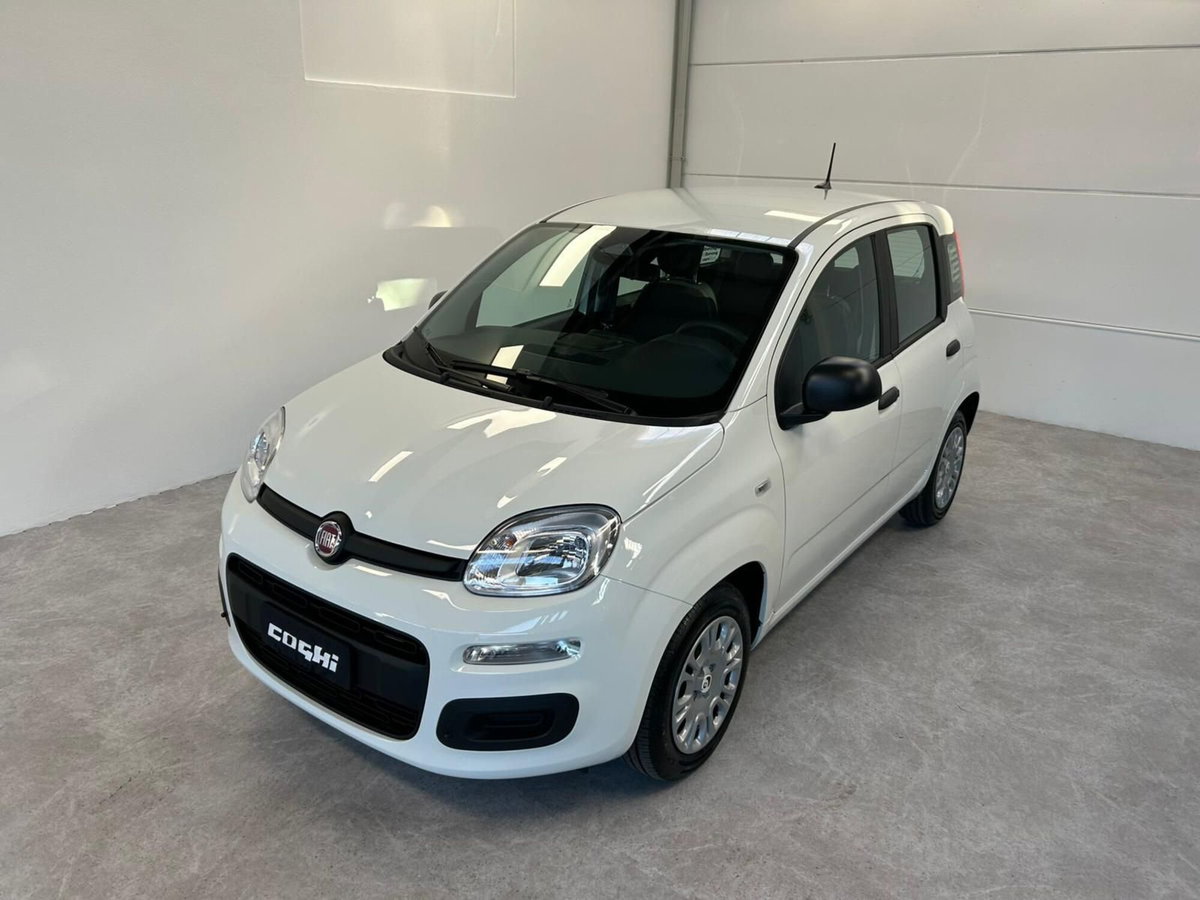 Fiat Panda 1.0 firefly hybrid Icon s&s 70cv (2)